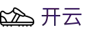 开云KAIYUN官方网站 - 中国 · 官方直营网站首页
